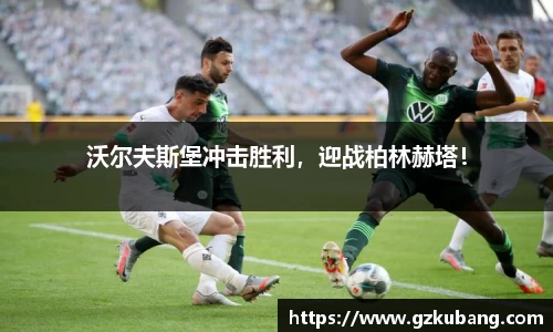中欧体育app