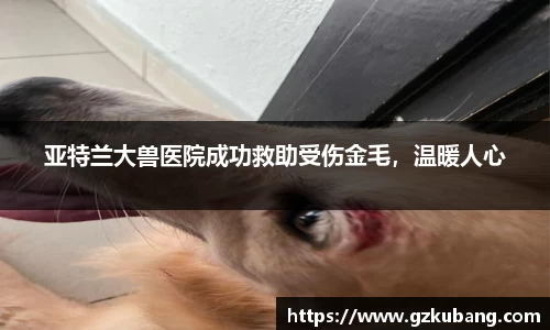 中欧体育app