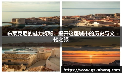中欧体育